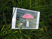 Výlet do Ekocentra MB - Spižírna